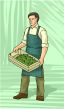 Grocers
